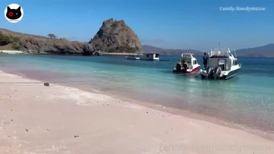 New Lonely Meow+ Tropical Anal: HD Savefiles & Lulustream POV